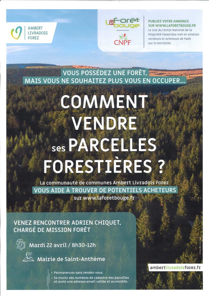 conseils pour vendre ses bois