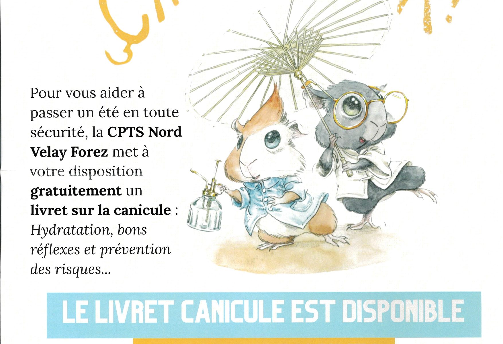 CONSEILS CANICULE