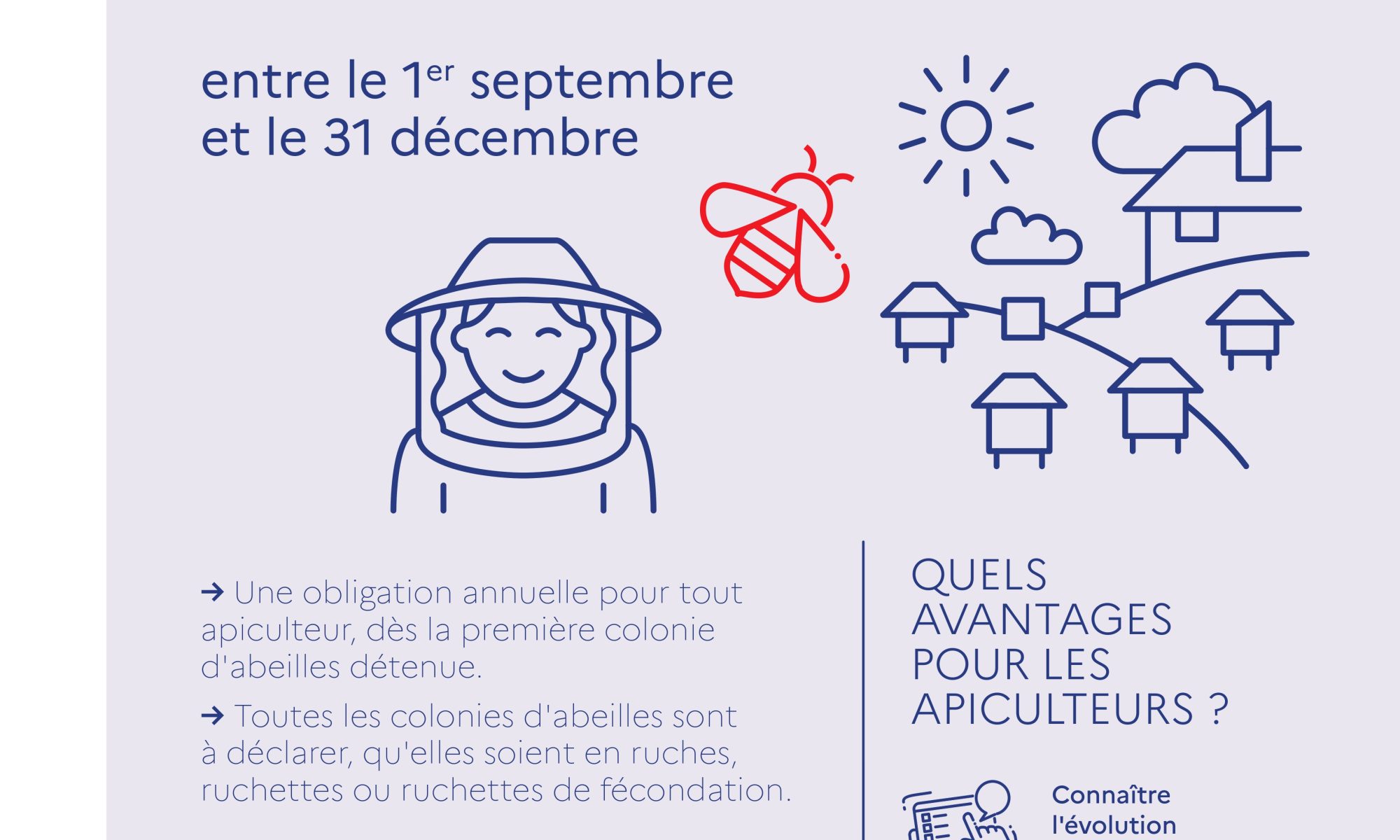 déclarer les ruches